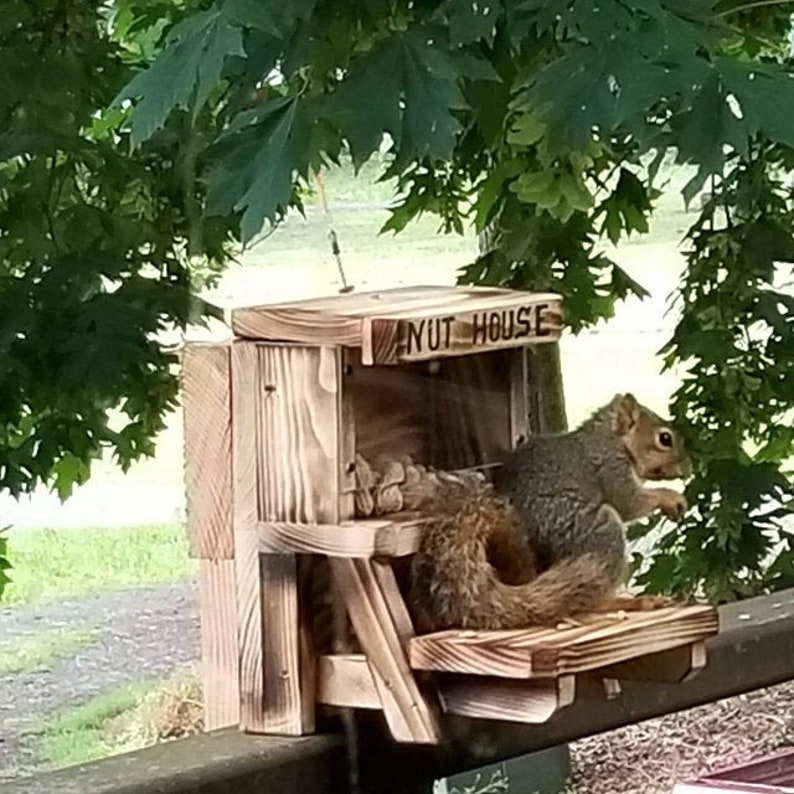 The Original Squirrel Nut House Feeder Etsy