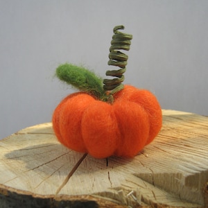 May include: A small, round, orange needle-felted pumpkin featuring a soft, fuzzy texture. The pumpkin is topped with a single green felted leaf and a coiled, dark green vine-like stem extending vertically from the center of the top section.