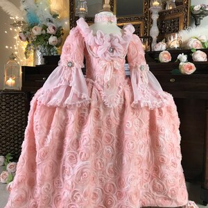 Marie Antoinette Dress, Masquerade Dress, Pink Dress For Girls, Marie Antoinette Costume, 18th Century Dress, 18th Century corset. image 2