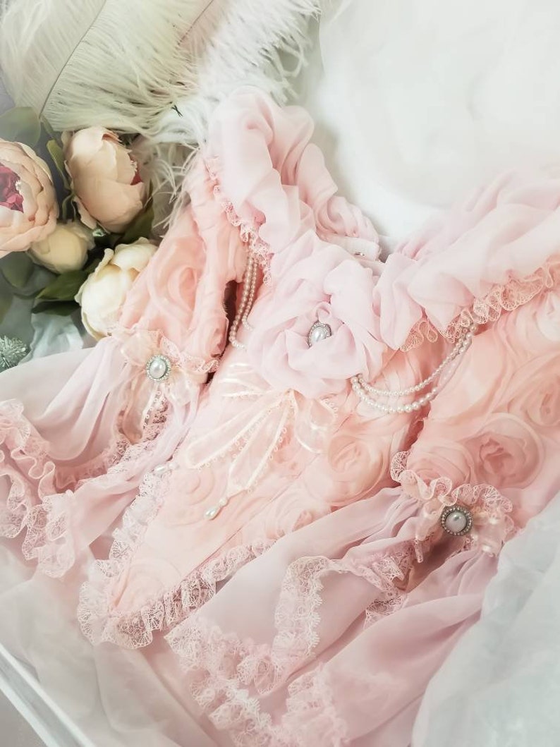 Marie Antoinette Dress, Masquerade Dress, Pink Dress For Girls, Marie Antoinette Costume, 18th Century Dress, 18th Century corset. image 8