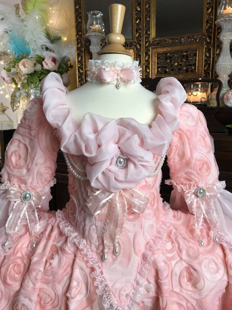 Marie Antoinette Dress, Masquerade Dress, Pink Dress For Girls, Marie Antoinette Costume, 18th Century Dress, 18th Century corset. image 1