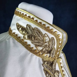Colete masculino do século XVIII, traje masculino do século XVIII, colete rococó masculino, colete longo masculino, moda masculina do século XVIII, traje cosplay.