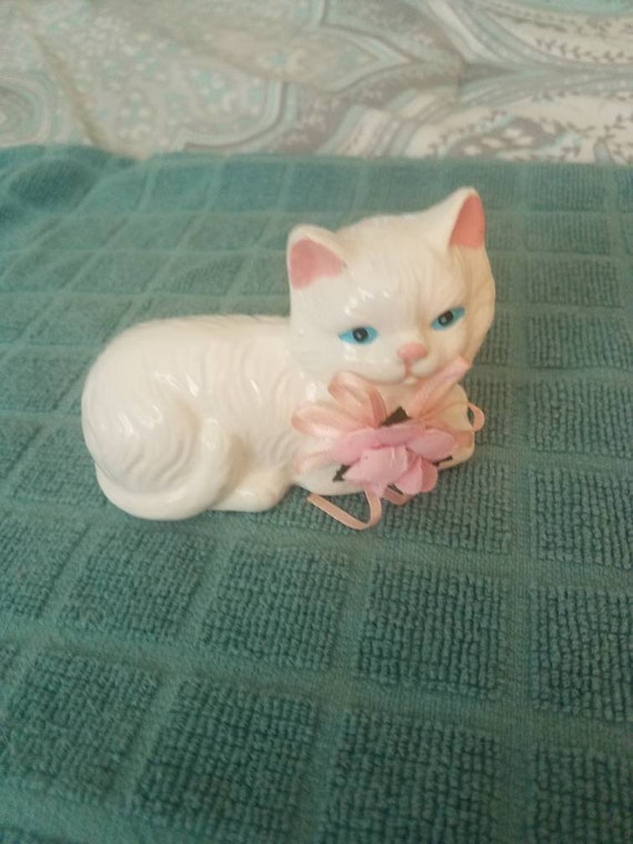 white cat with pink ears