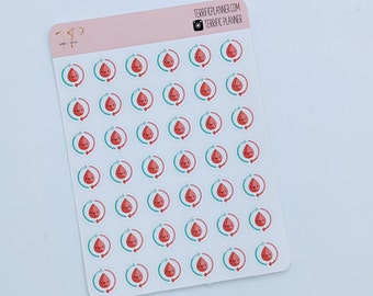 Monthly, Period, Cycle Tracker, Planner Stickers, Icon Stickers