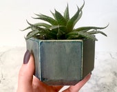 Hexagonal Plant Pot, Aloe Vera Planter, Succulent Gifts, Cactus Lovers, Indoor Plant Pot, Ceramic Planter, Handmade Pottery, New Home Gift.
