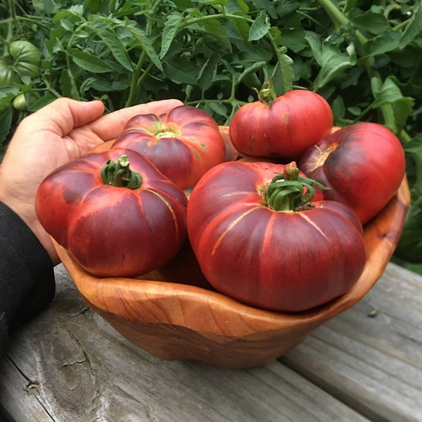 Blue Beauty Tomato Seeds