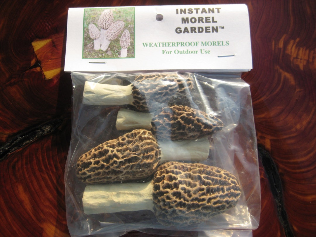 Handmade Morel Mushrooms for Landscape & Garden. Real Looking Morels, Weatherproof and Last