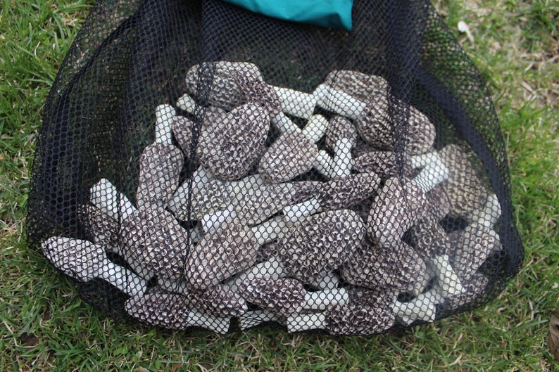 Mushroom Hunting Bag Etsy