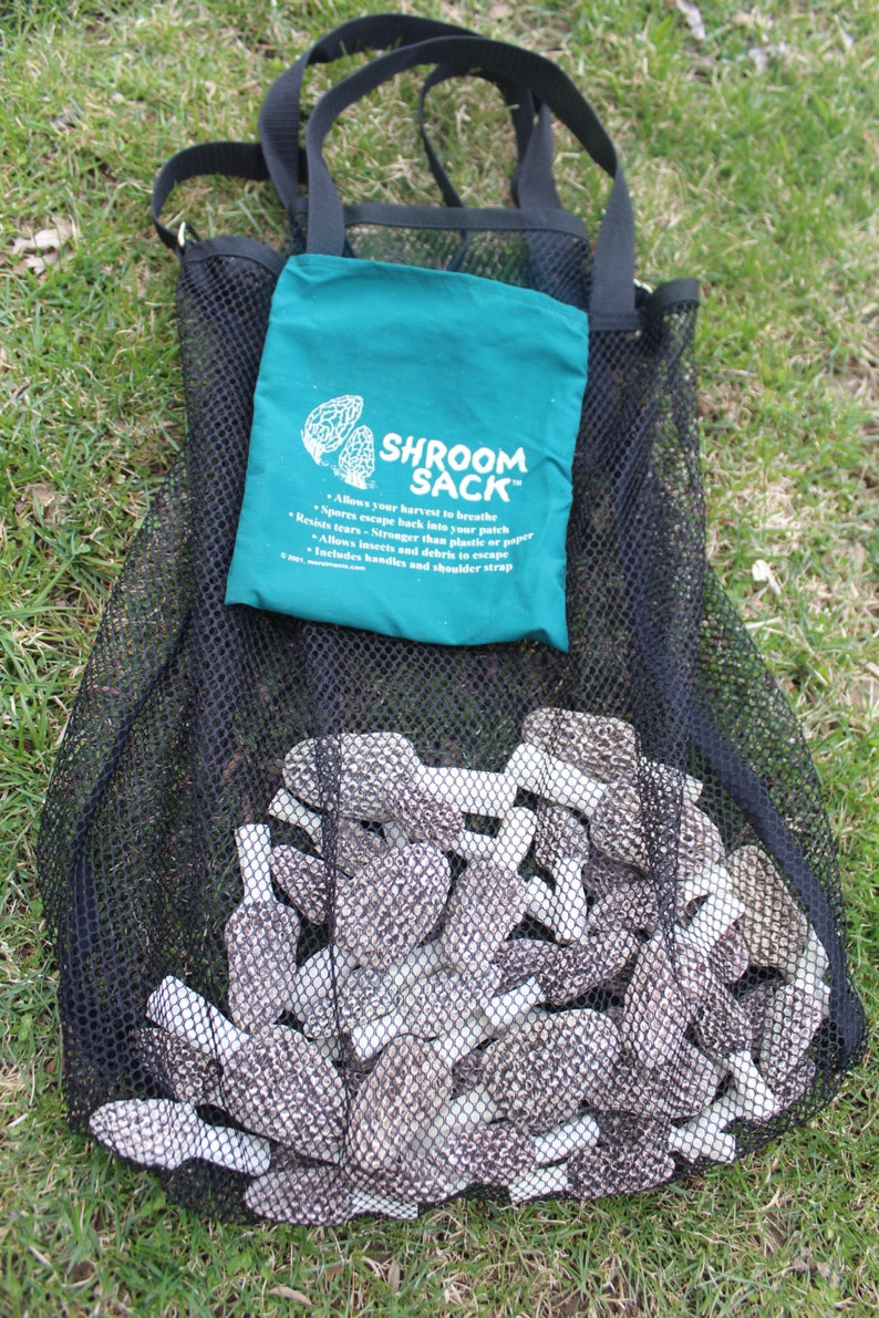 Mushroom Hunting Bag Etsy