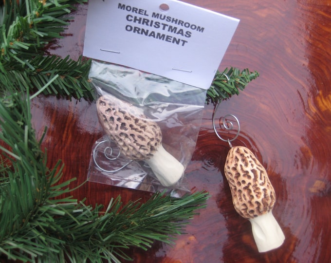 Realistic Morel Mushroom Ornament, Polymer Clay Etsy
