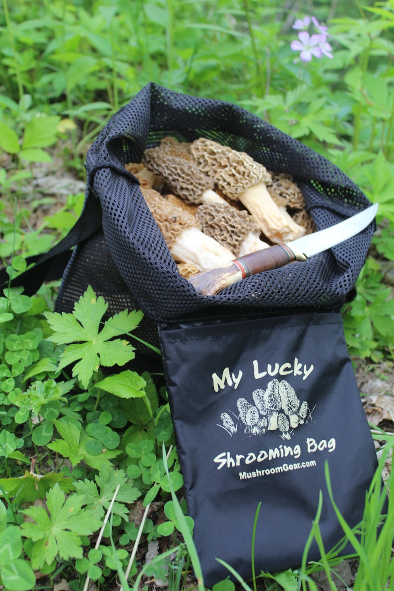 Mushroom Hunting Bag, Tough Tear Resistant Scuba Mesh, Solid Bottom To Protect Morels. Proudly Made in USA image 2