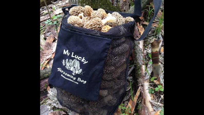 Mushroom Hunting Bag, Tough Tear Resistant Scuba Mesh, Solid Bottom To Protect Morels. Proudly Made in USA image 7