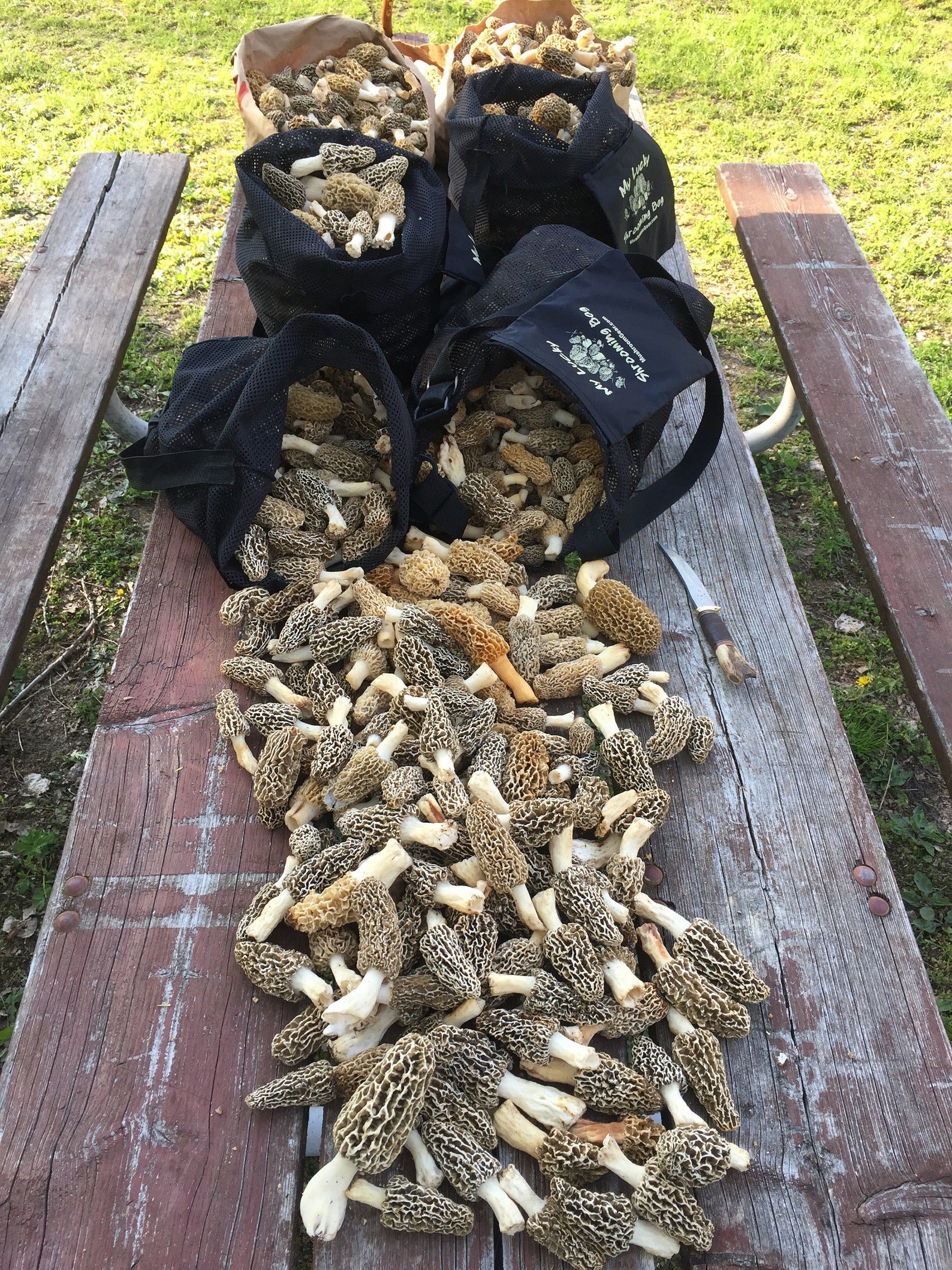 Morel Hunting Bag Tough Tear Resistant Scuba Mesh Solid Etsy