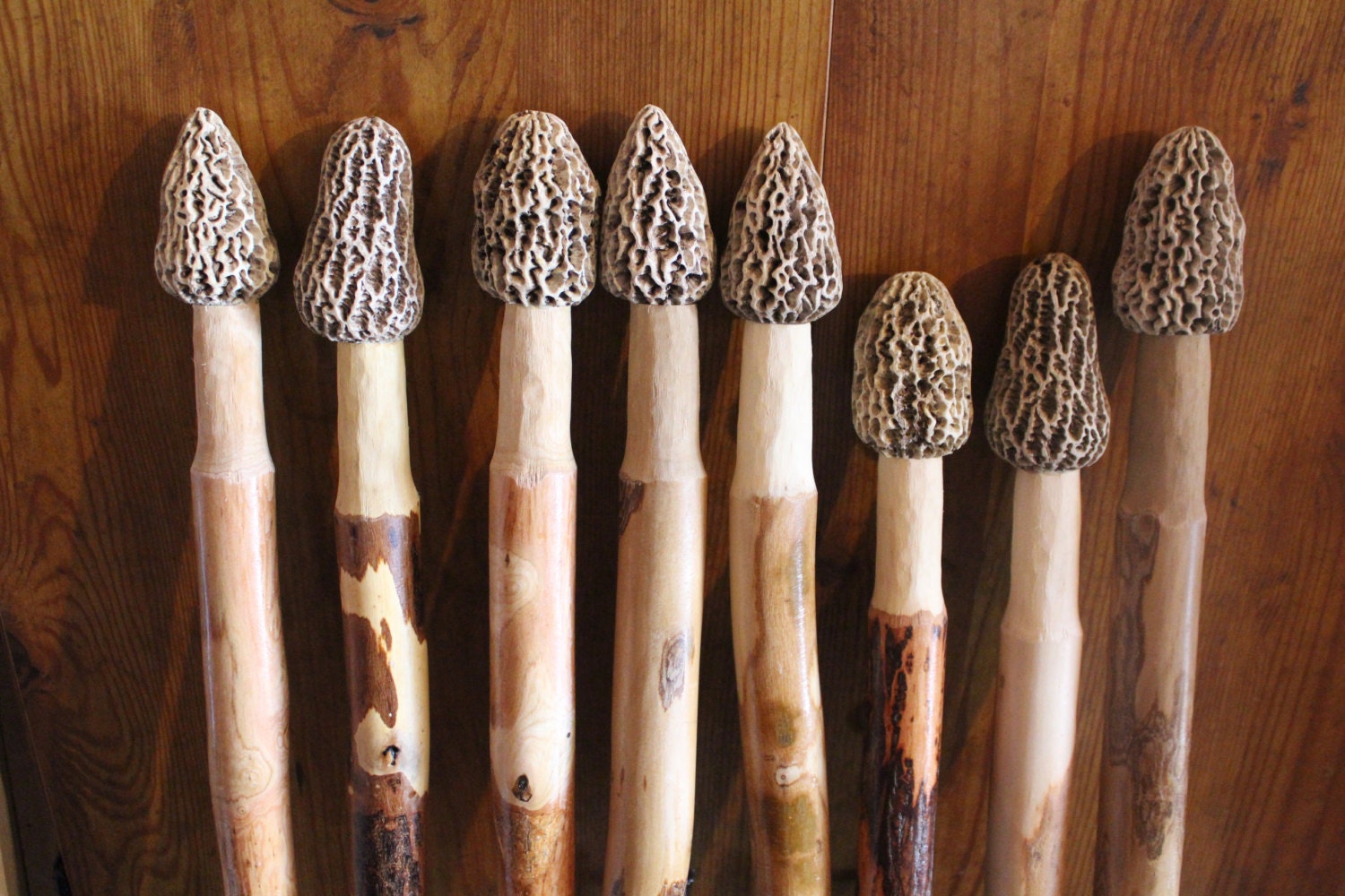 Hiking Stick With a Morel Mushroom Top. Real Looking Morel Etsy
