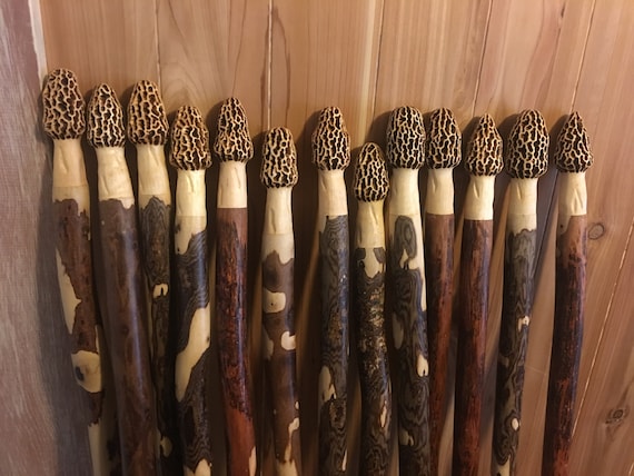 Best hunting walking sticks online