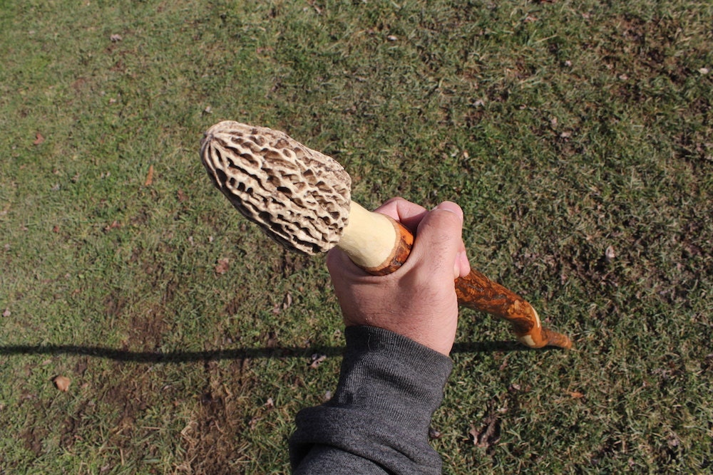 Hiking Stick With a Morel Mushroom Top. Real Looking Morel Etsy