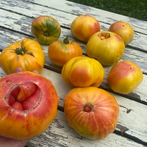 Pineapple Heirloom Tomato Seeds