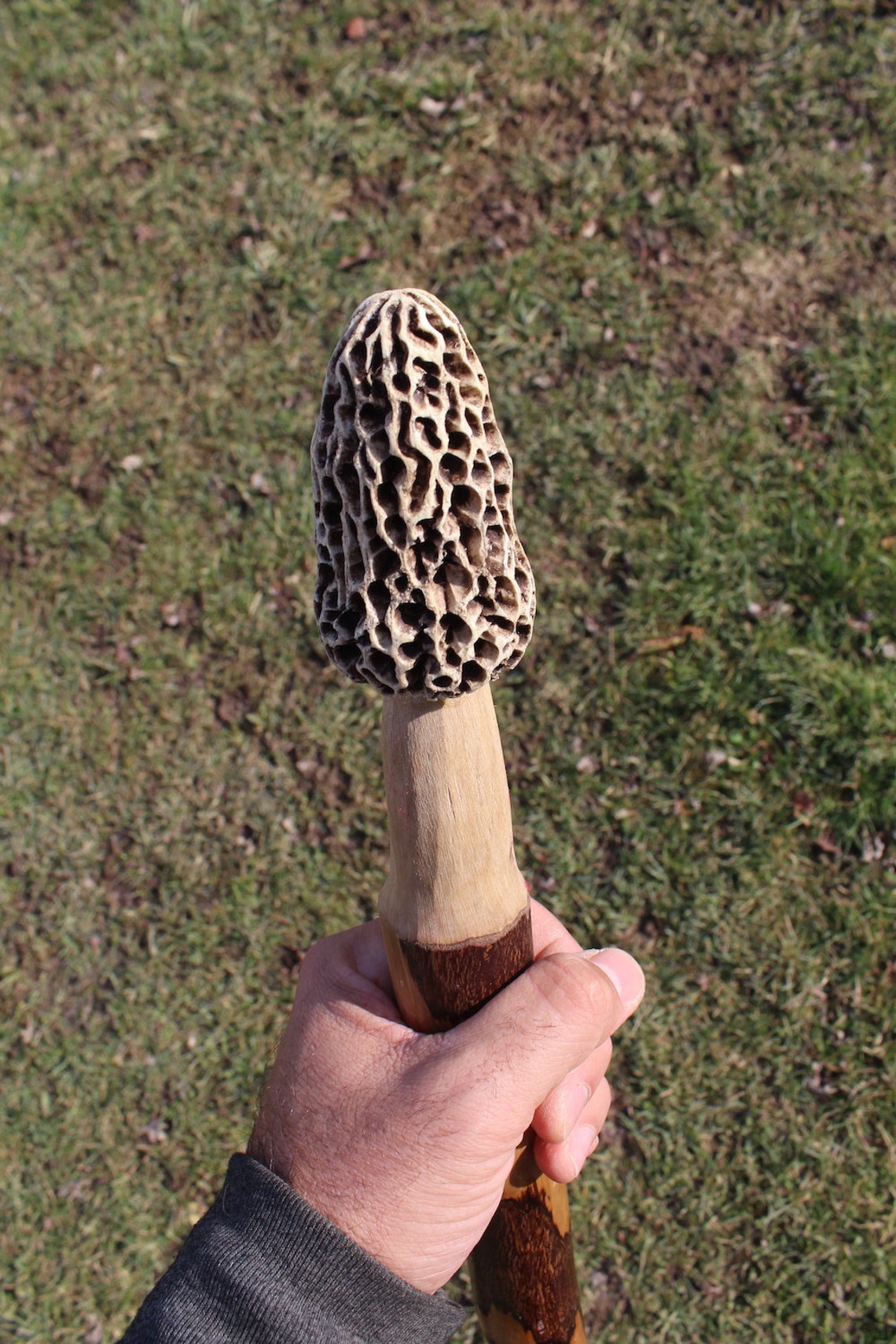 Hiking Stick With a Morel Mushroom Top. Real Looking Morel Etsy
