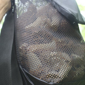 Mushroom Hunting Bag, Tough Tear Resistant Scuba Mesh, Solid Bottom To Protect Morels. Proudly Made in USA image 5