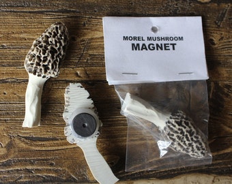 Morel Magnet / Mushroom Magnet.  Perfect for your fridge!  Durable Resin, Custom Paint