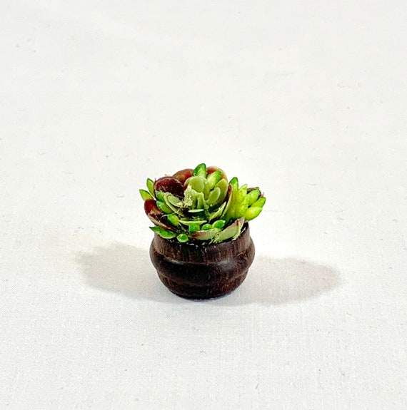 Miniature Dollhouse FAIRY GARDEN ~ Succulent Plants Planter Bowl ~ NEW
