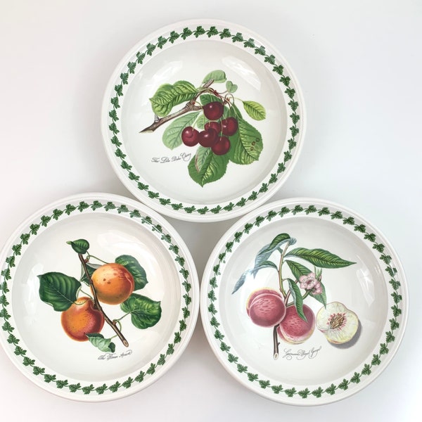 Portmeirion Pomona Rim Soup Bowl With Border Replacement Dish Mix Match Choice of Fruit