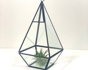 Glass Terrarium Geometric Glass Display Piece Table Decoration