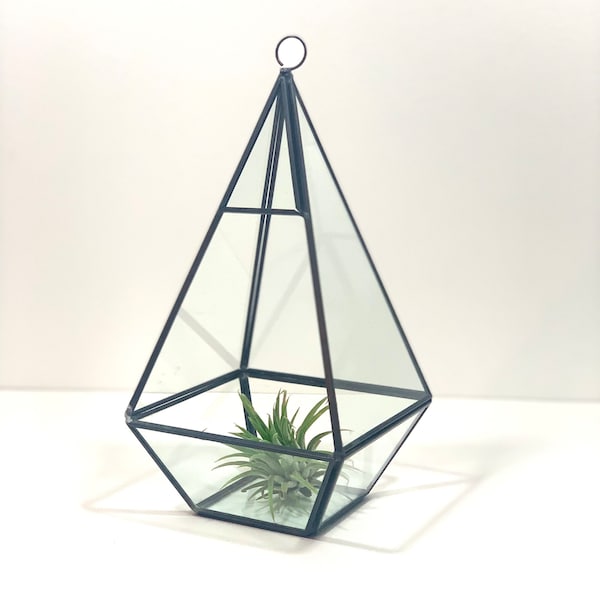 Glass Terrarium Geometric Glass Display Piece Table Decoration