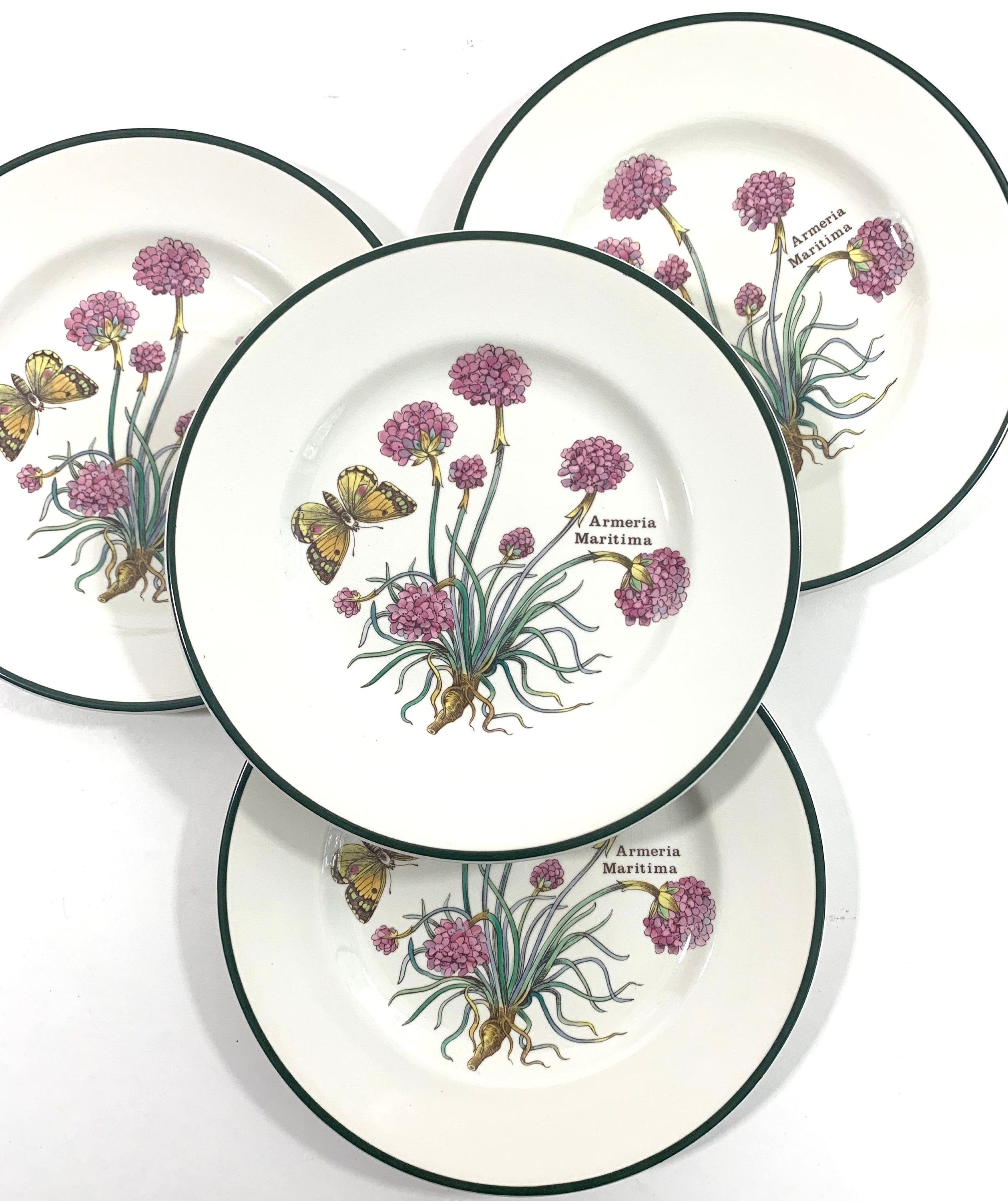 Prinknash Plate - Etsy UK