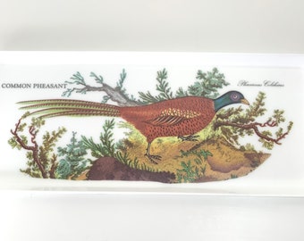 Portmeirion Birds of Britian Tray Vintage Susan Williams Ellis Common Pheasant Melamine Tray Made in Italy