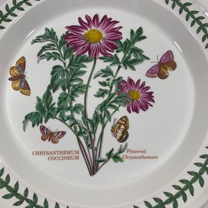 Portmeirion Botanischer Garten geblümte Chrysantheme Coccineum Speiseteller Ersatzschüssel