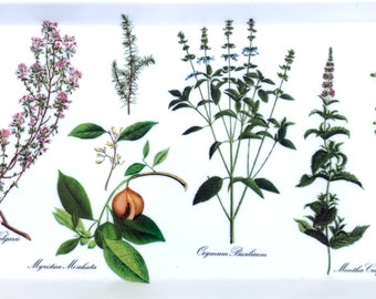 Melamin Floral Blumen Tablett Design Importe italienische Melmac Serviertablett