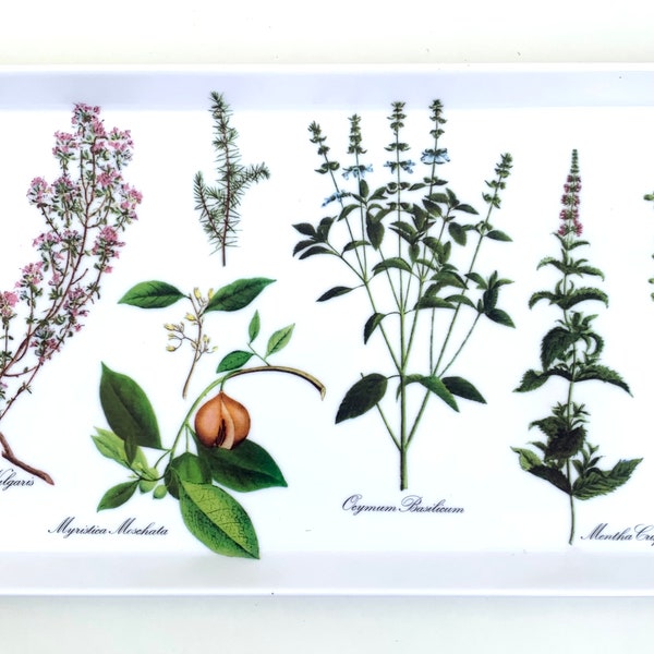 Melamin Floral Blumen Tablett Design Importe italienische Melmac Serviertablett