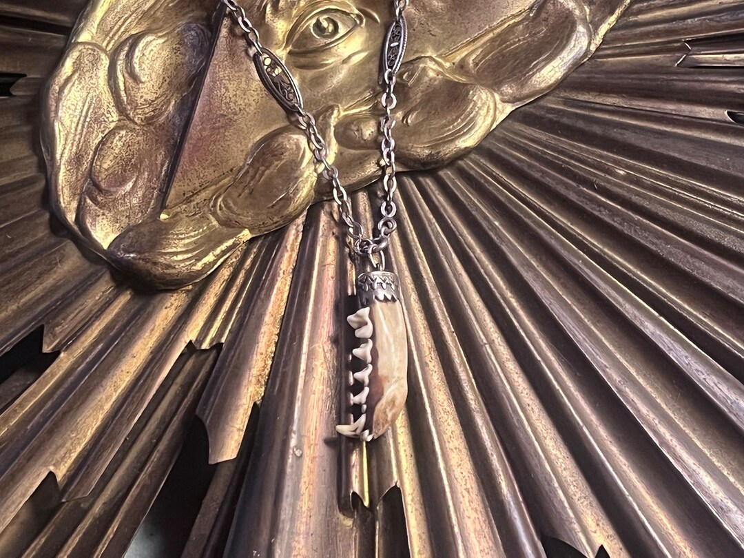 Charivari with skulls and 