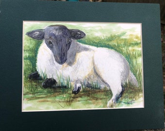 Original Art, Colored Pencil, Matted Art, Office Art, Wall Art, Sheep, Lamb, Sheep Art, Black Faced Sheep, Farm Art, Country, Farm Life