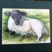 see more listings in the Drop Spindles & Sheep section