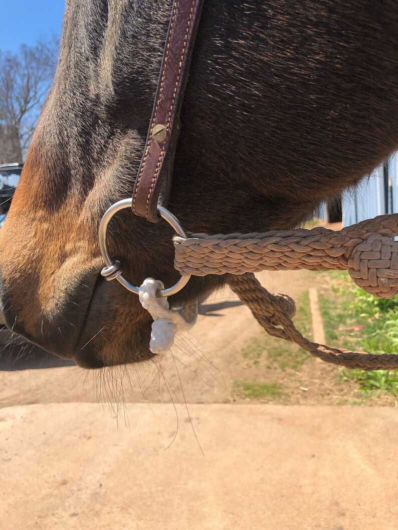 Paracord Chin Strap Made to Order Horse Tack Horse Horse Etsy