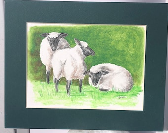 Original Sheep Art: Black Faced Lambs, Matted Colored Pencil Drawing