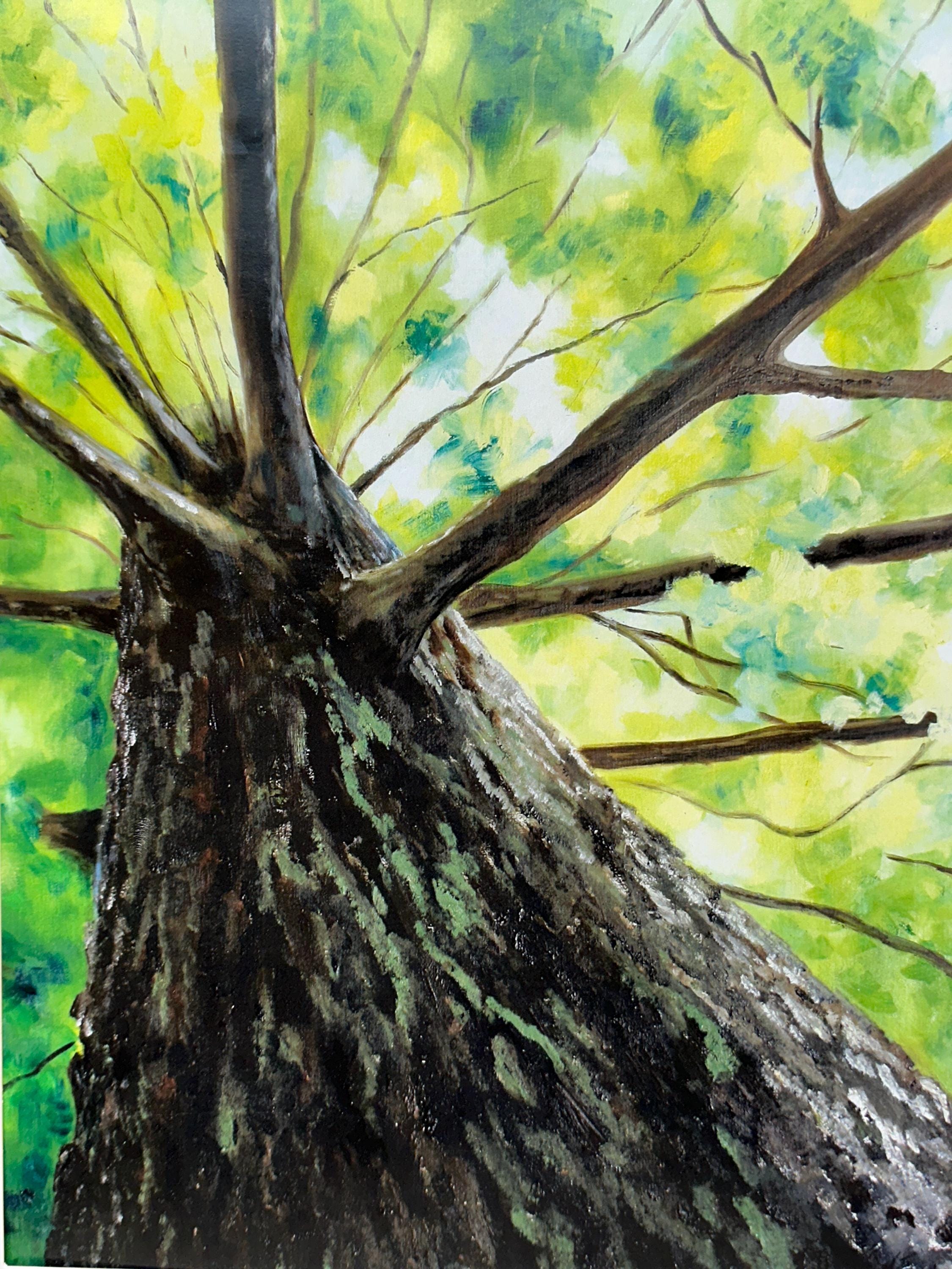 Tree Oil Painting Print: "Looking Up" Peaceful Artwork