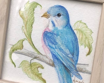 Framed Bluebird Art: Original Colored Pencil Bird Drawing