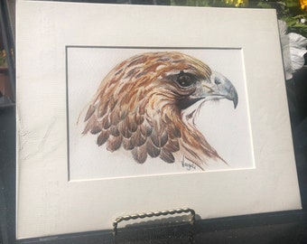 Original Art, Colored Pencil, Hawk, Matted Art, Office Art, Wall Art, Country Decor, Farm Decor, Simple Art, Bird Art, Nature