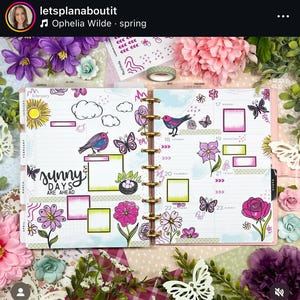 May include: A close-up of a planner with a floral theme. The planner has a white background with black and pink floral illustrations. The planner is open to the February page, which has a sun, clouds, and birds. The planner also has a page for March, which has a rose and the text "sunny days are ahead".