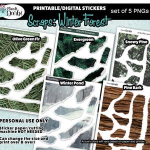 May include: A set of five printable digital stickers with winter forest themes. The stickers include images of olive green fir, evergreen, snowy pine, winter pond, and pine bark. The text on the image says "Personal Use Only" and "Can change the size and print over & over!"