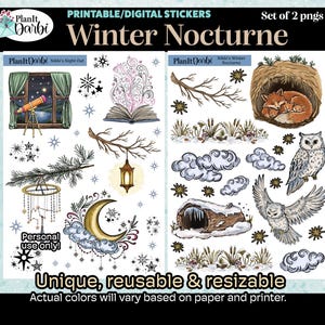 May include: Printable digital stickers featuring a winter theme. The set includes illustrations of a telescope, an open book with swirling designs, a crescent moon, a lantern, a sleeping fox, an owl, and snowflakes. The text reads "Winter Nocturne".
