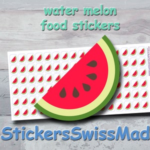 PLANNER STICKER || water melon || food || fruit || small colored icon | for your planner or bullet journal