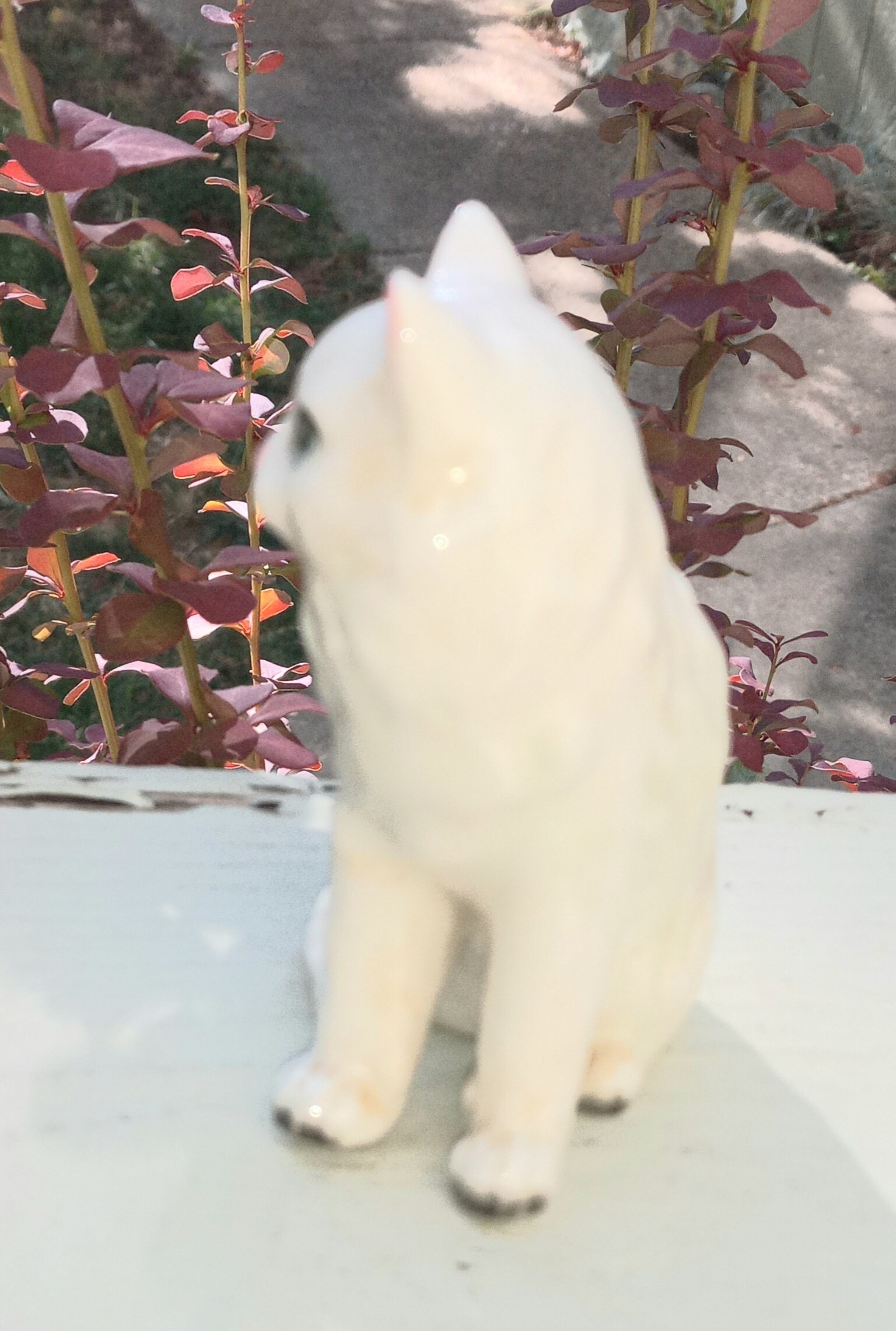Vintage Porcelain/ Ceramic White Kitty Figure - Etsy