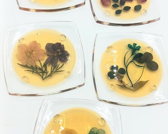 Vintage Lucite Coaster (5pc.) with Real Died Pressed Flowers.