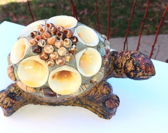 May include: A decorative turtle figurine made of a brown and black resin base with a shell mosaic of various sized seashells in shades of white, brown, and beige.