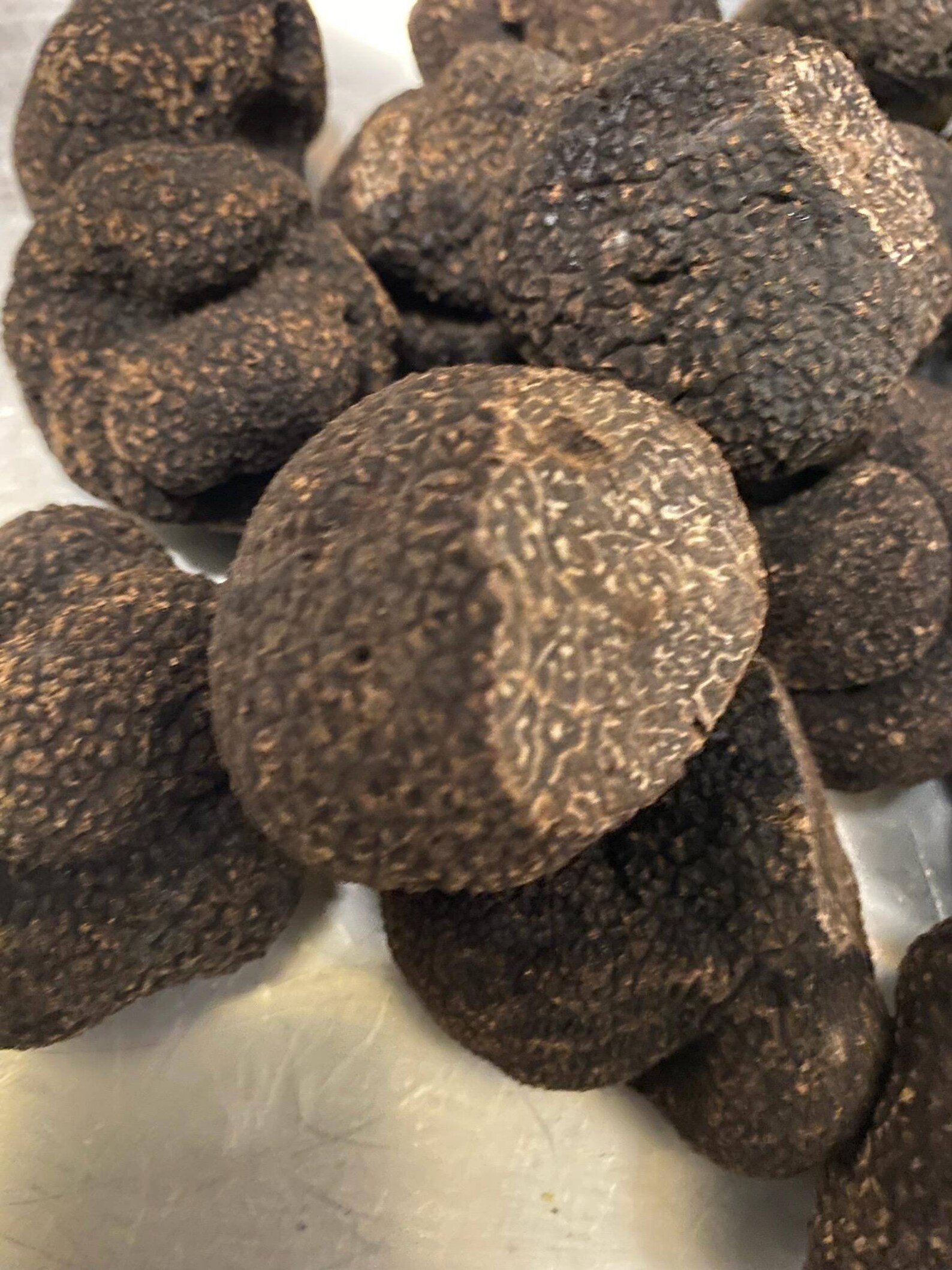Fresh Imported Australian Black Winter Truffles Earth to Etsy