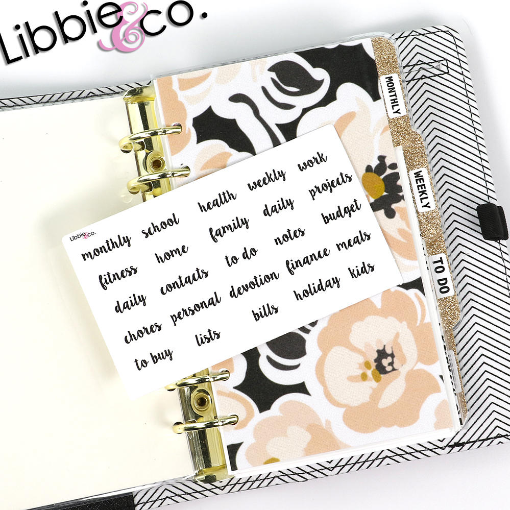 Variety of script divider label stickers.  Perfect for all dividers!!!